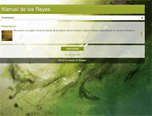 Tablet Screenshot of manueldelosreyes.com